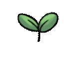Potato Leaf